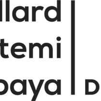 Gaillard Banifatemi Shelbaya Disputes