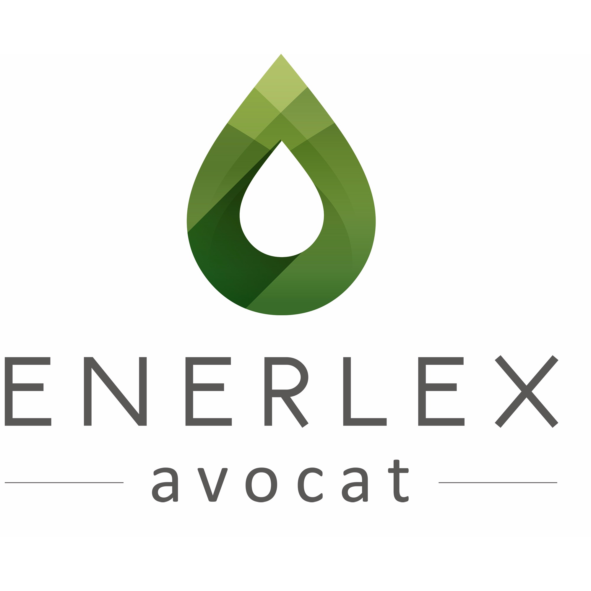 Enerlex Avocats