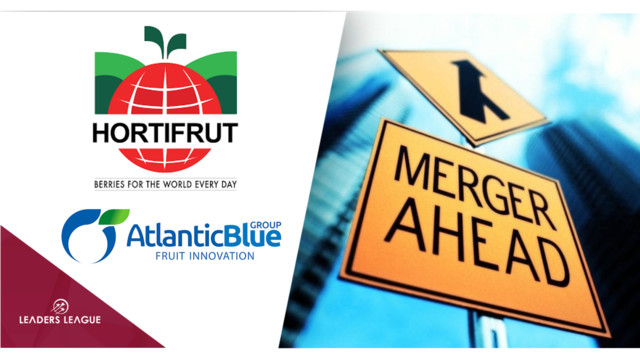 Chilean berry company Hortifrut acquires Spain’s Atlantic Blue for $280m